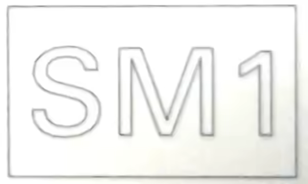 SM1 Smart Meter