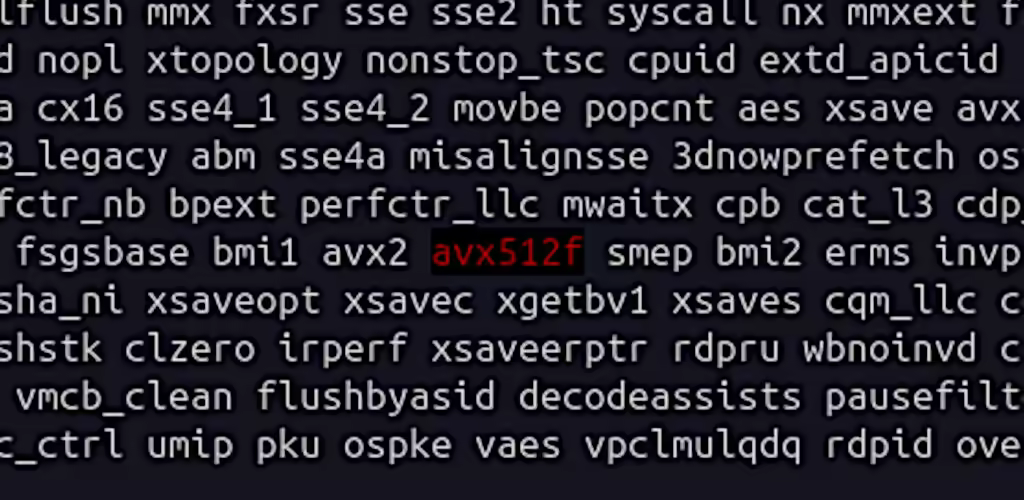 Does My Processor Support AVX512?
