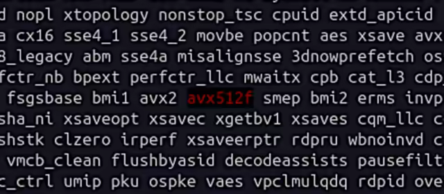 Does My Processor Support AVX512?