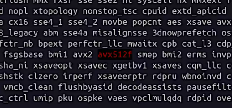 Does My Processor Support AVX512?