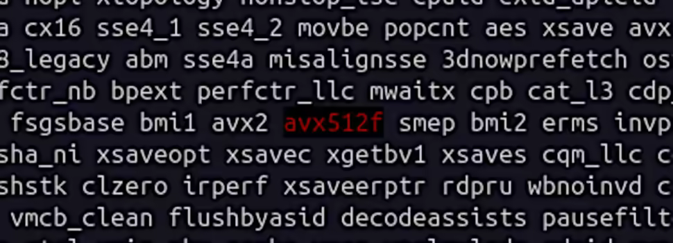 Does My Processor Support AVX512?
